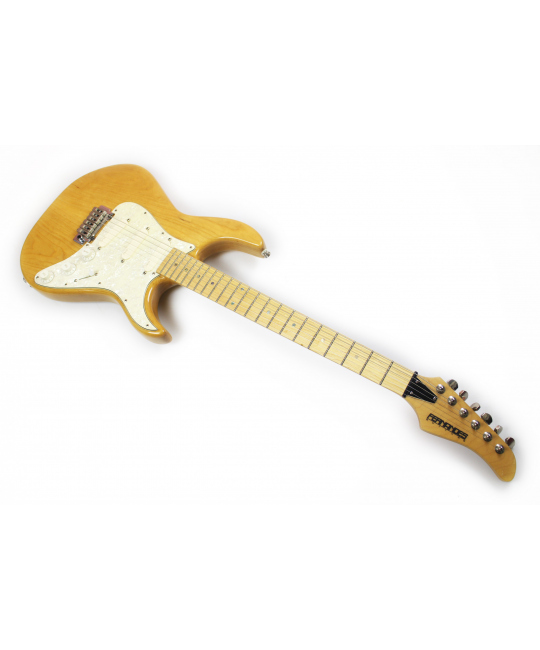 Электрогитара FERNANDES DG20 RETROROCKET DELUXE (DAVID GILMOUR) купить с доставкой по России -  