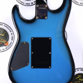 Электрогитара Fernandes The Function SSH-40 Japan купить с доставкой по России - sm