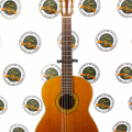 Классическая гитара Takamine NO.30 Japan 80's купить с доставкой по России - sm