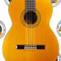 Классическая гитара Takamine NO.30 Japan 80's купить с доставкой по России - sm