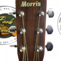 Акустическая гитара Morris MD-505 Japan купить с доставкой по России - sm