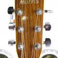 Акустическая гитара Morris MD-507 Korea купить с доставкой по России - sm