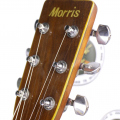 Акустическая гитара Morris W-30 Japan 80's купить с доставкой по России - sm