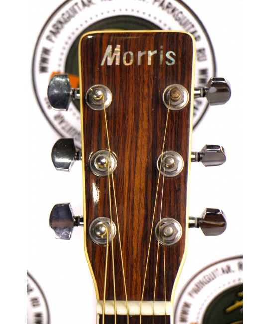 Акустическая гитара Morris MF-207 Korea купить с доставкой по России -  