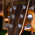 Акустическая гитара Cat Eyes CE-200W купить с доставкой по России - sm