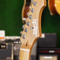 Электрогитара JET JS-450, Stratocaster, Ocean Blue купить с доставкой по России - sm