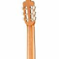 Классическая гитара 4/4, Prodipe JMFSOLOIST700 Soloist 700  купить с доставкой по России - sm