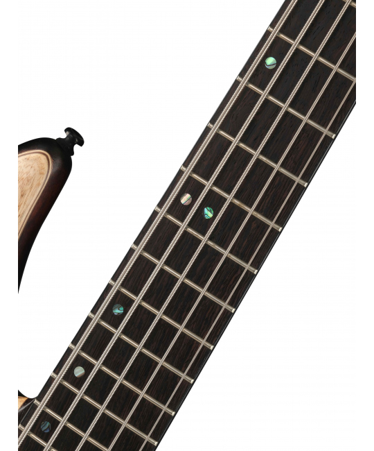 Бас-гитара Cort A5-Ultra-Ash-WCASE-ENB, Artisan Series купить с доставкой по России -  