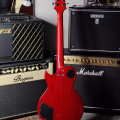Электрогитара Aria Pro II PE-40, Korea, 1998г. купить с доставкой по России - sm