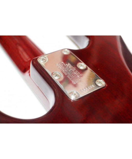 Бас-гитара ERNIE BALL MUSIC MAN STINGRAY 4 30TH ANNIVERSARY USA 2006 купить с доставкой по России -  